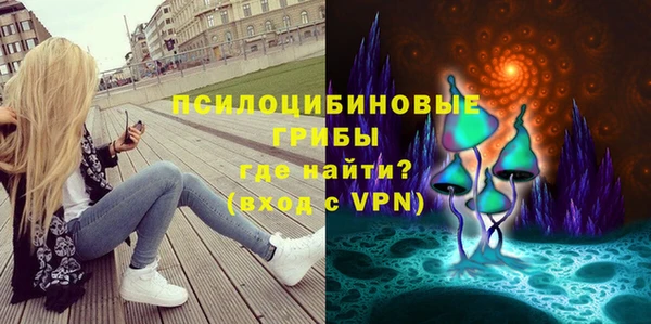 2c-b Верея